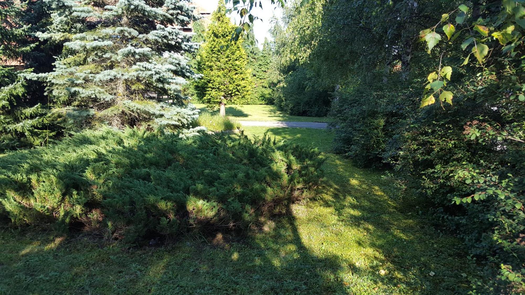 Holiday Home Vila Tejic Zlatibor Exterior foto
