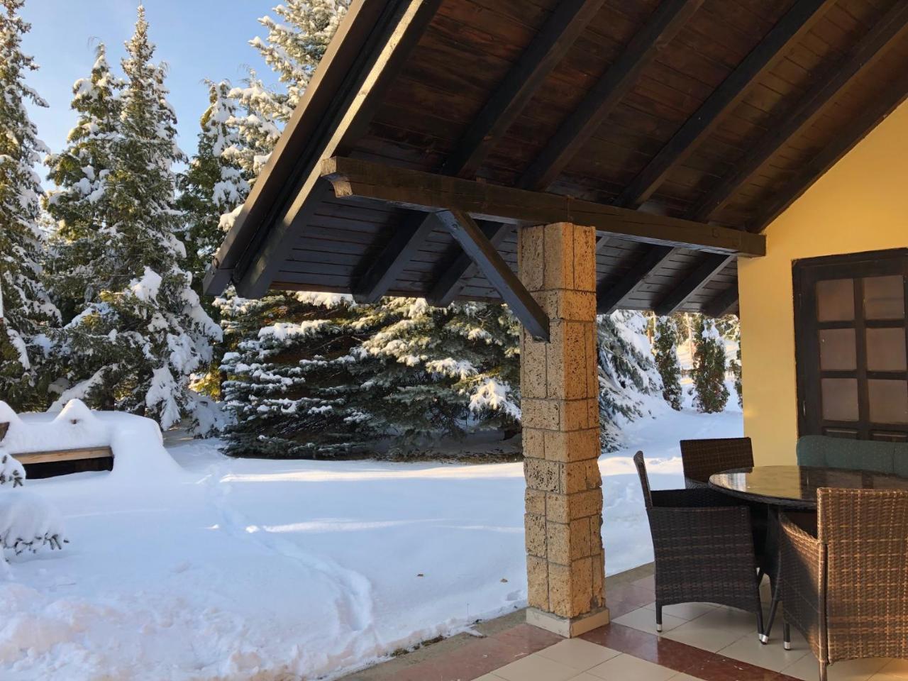Holiday Home Vila Tejic Zlatibor Exterior foto